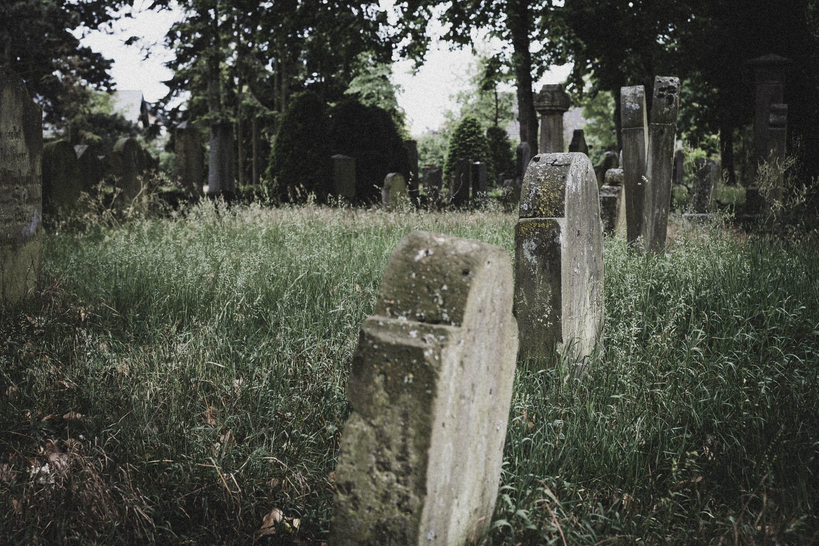 Rheda Wiedenbrück 0509